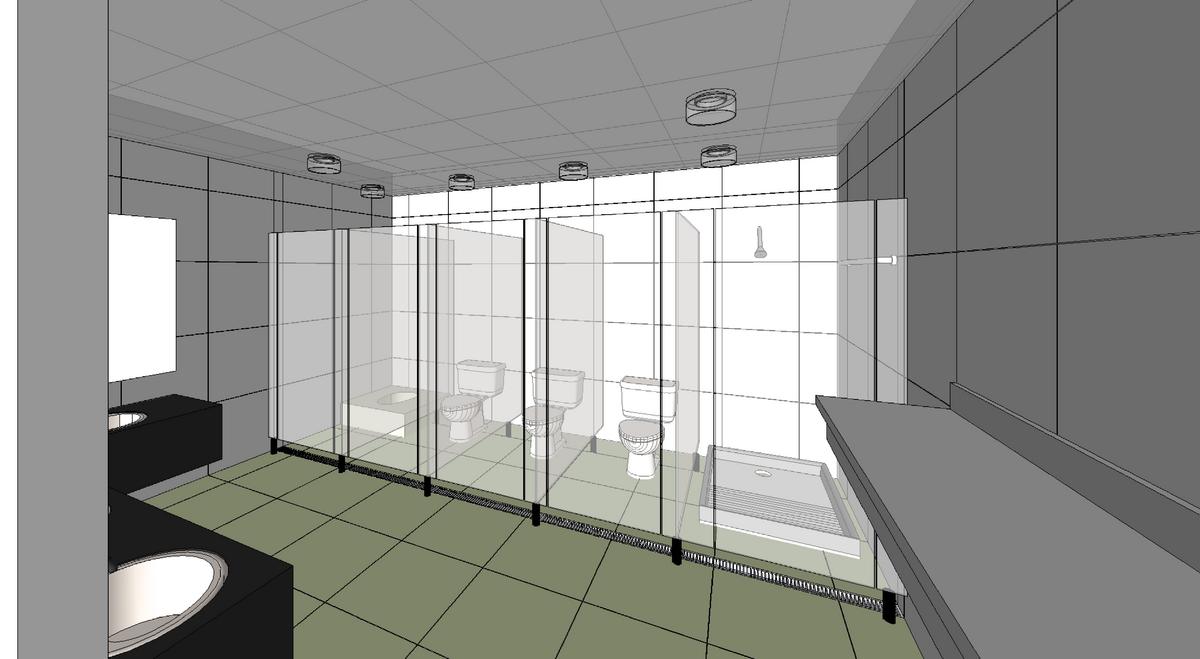 1 day work on a female toilet interior
