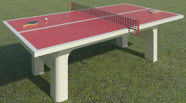Ping pong/Table Tennis