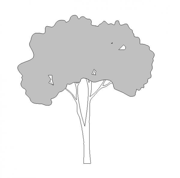 Tree Detail Component