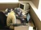 143449_computer-monkey.jpg