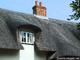 52584_thatched_roof.bmp