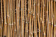 65763_bamboo-1.jpg