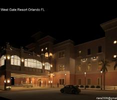 My Favorite in the night