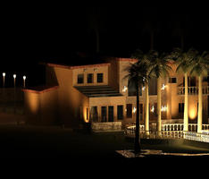 Charismatic Splendor (Night)