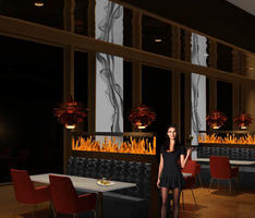 Ignite Hibachi Grill Booth