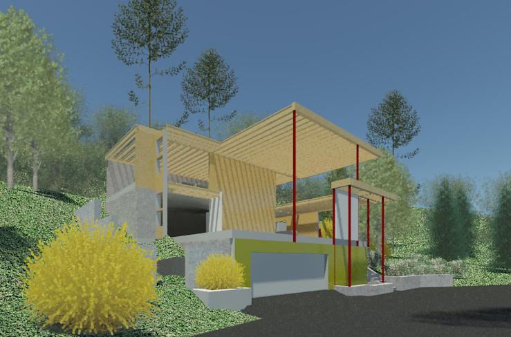 The Renovation of the Barton Residence