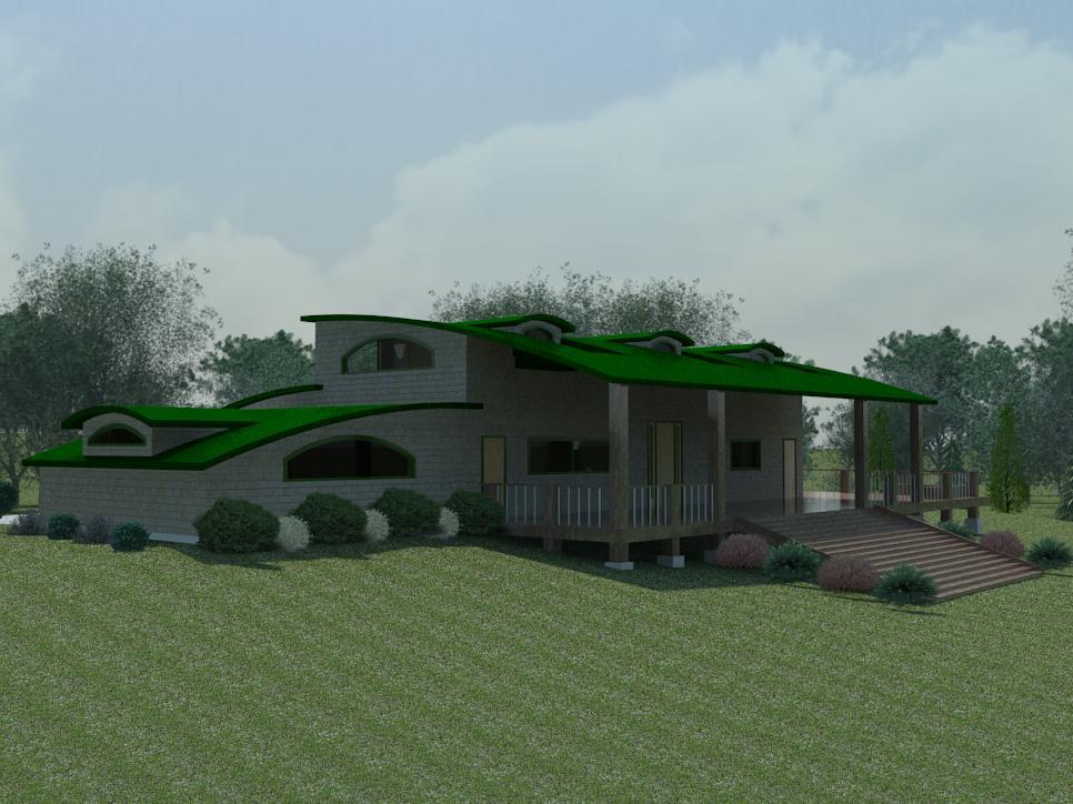 Forest House Back Left