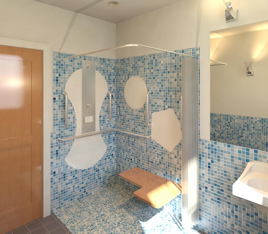 Handicap Accessible Shower