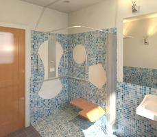 Handicap Accessible Shower