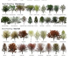 Revit Planting Catalogue