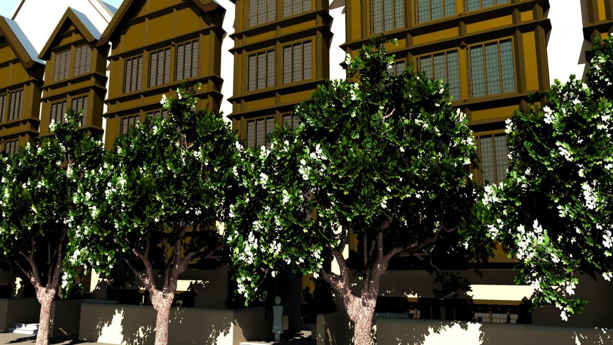 row houses with trees