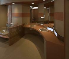 ADA BATHROOM_2