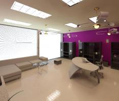 Estudio/ study / office