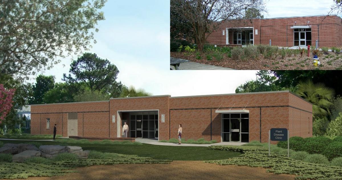 Plant Disease Clinic