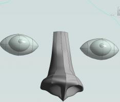 Mouth/ Nose/ Eye in Revit