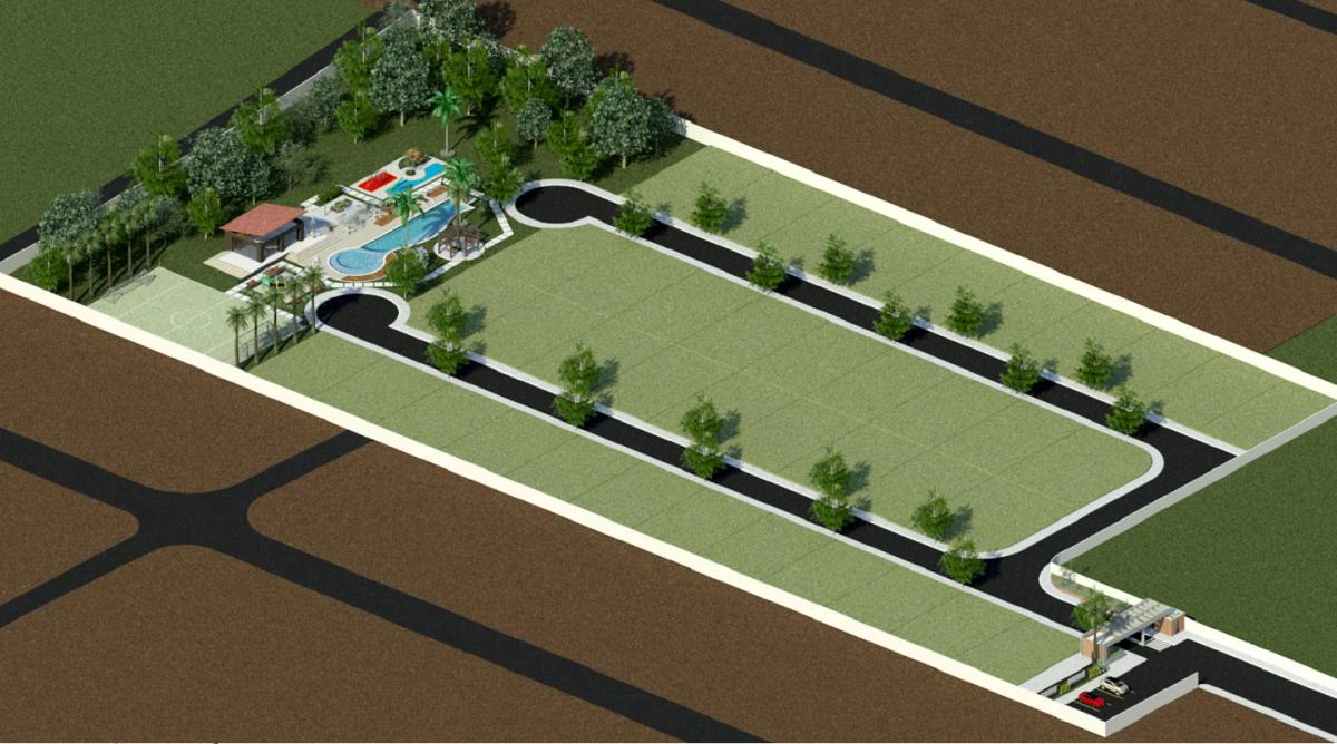 Implantação - Site