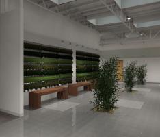 Plant Wall Rendering
