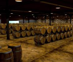 Wine Cave