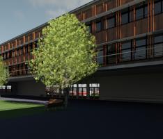 Elementary School João Pinheiro