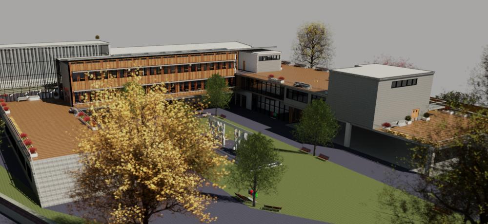 Elementary School João Pinheiro