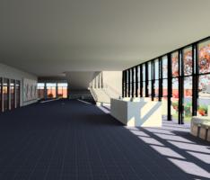 Elementary School João Pinheiro