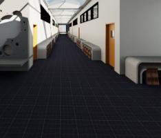 Elementary School João Pinheiro