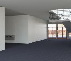 Elementary School João Pinheiro