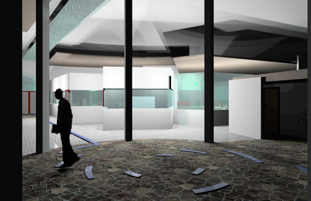 Phoenix Arabian Library Night Shot