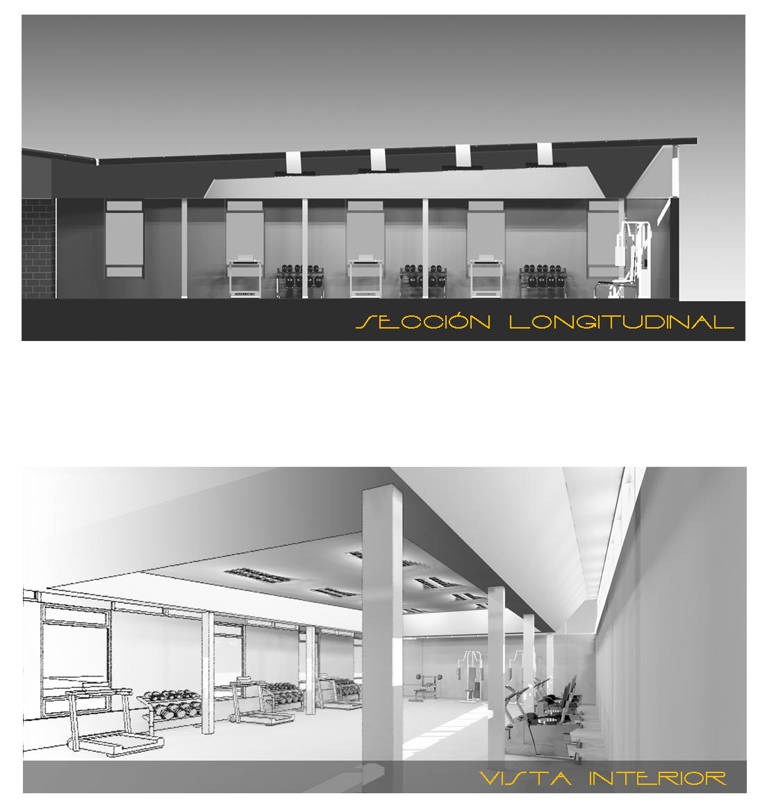 ESTUDIO ILUMINACIÓN EN GIMNMASIO