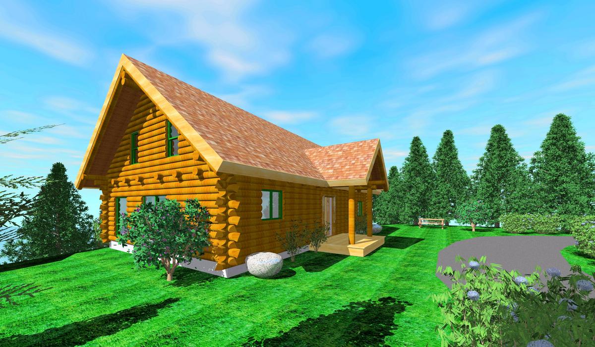 Log Cabin 2