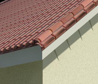 Clay Tile and Wall Scallop