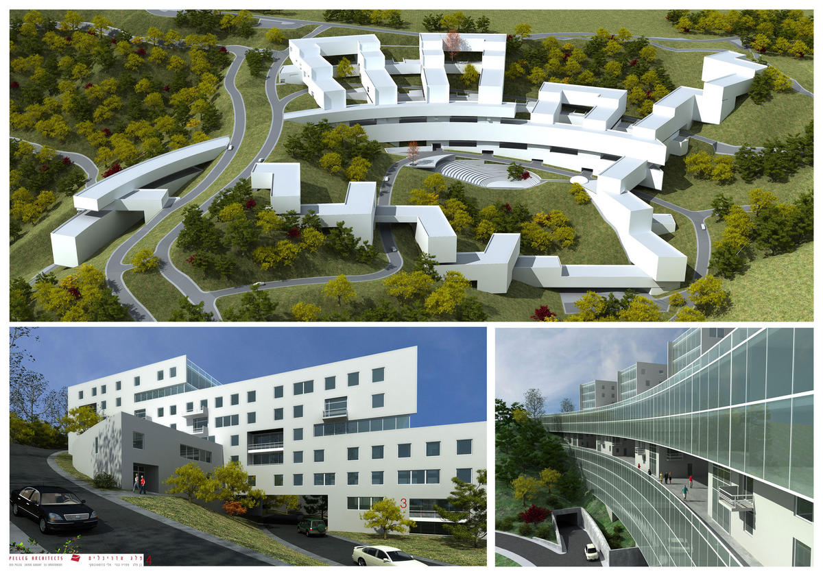 Brasov Resort, concept project