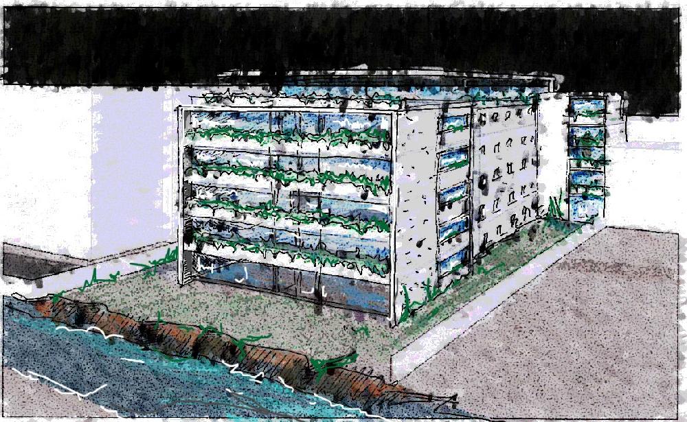 HABITA��O COLECTIVA - PORTUGAL