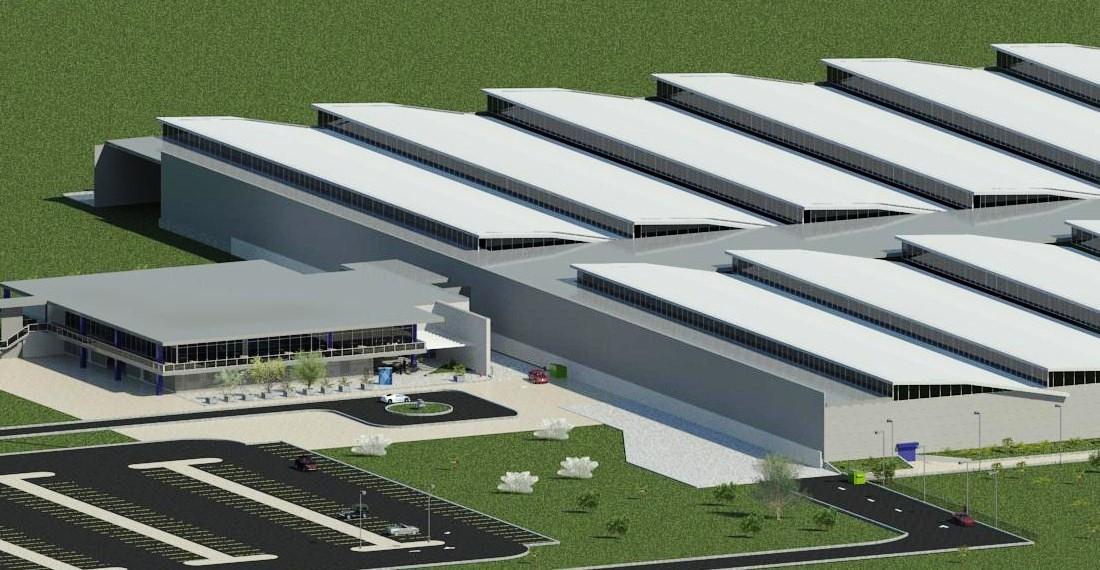 AEREA PLANTA GILLETTE