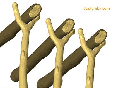 Decorative natural log with support