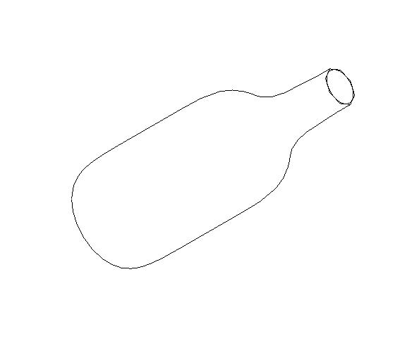 bottle/ vase/ flower vase