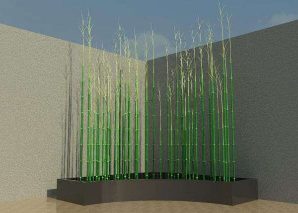 Bamboo for Revit 2010