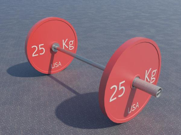 25 Kg Bumper Plate
