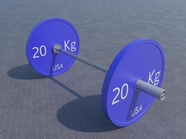 20 Kg Bumper Plate