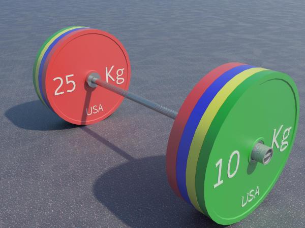Fully Loaded Olympic Barbell with Competition Plates