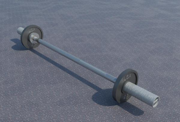 2.5 Lb Barbell Weight
