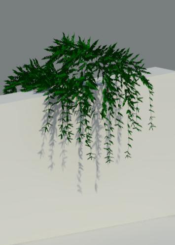 Planta Plant 1