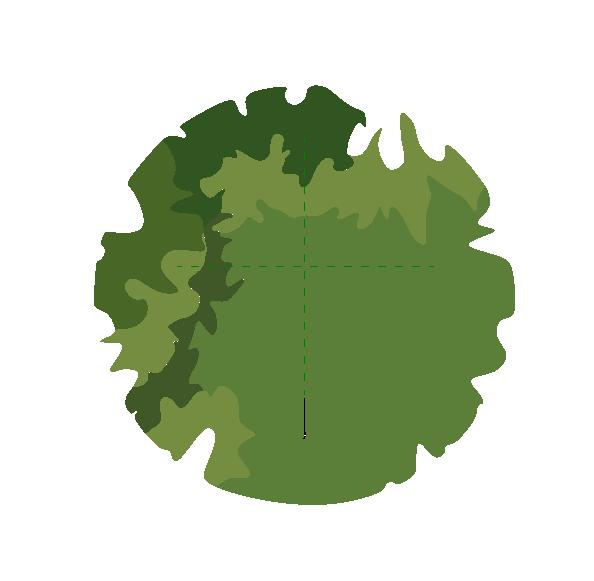 2d Tree Plan parametric Detail Item