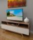 Modern TV wood and Glass door TV Stand