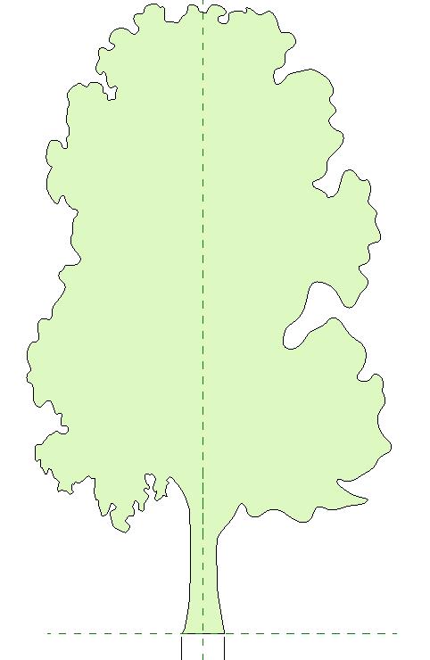 2D Tree Elevation Parametric Scale with Height