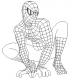Spiderman 2D