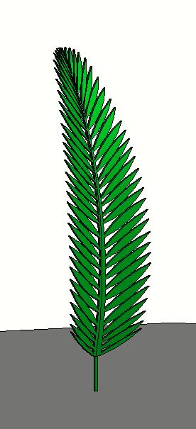 Palm-Frond_RDA