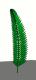 Palm-Frond_RDA