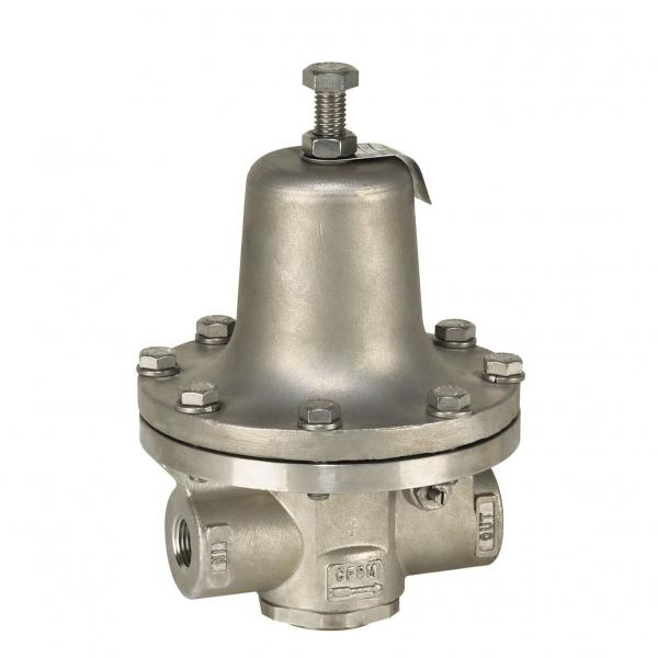 Iron Process Steam Pressure Regulators - 152A