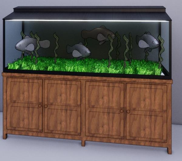 Fish Tank With lighting & fish